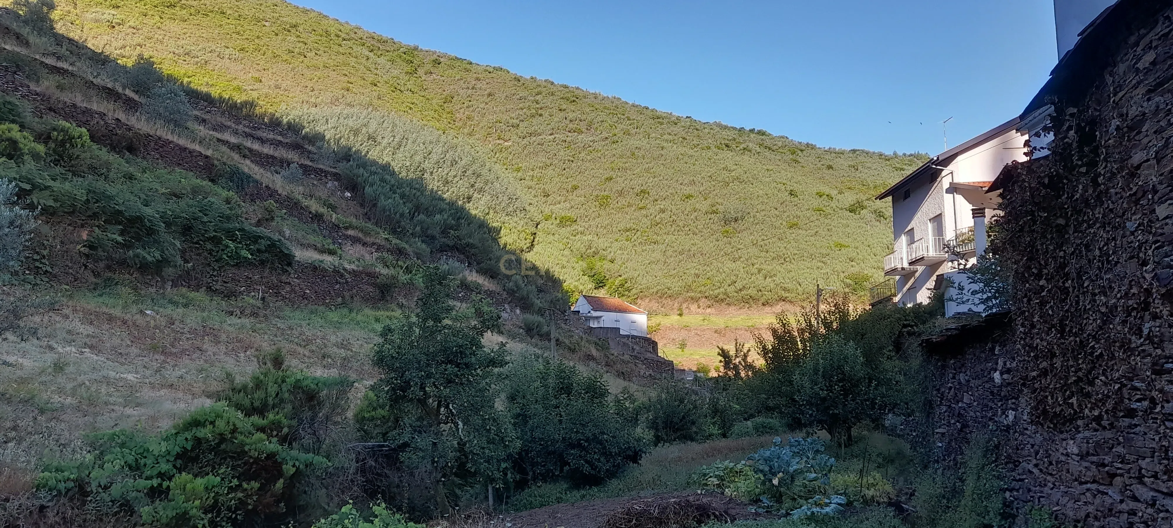 INVESTIMENTO | CEIROQUINHO | SERRA DO AÇOR - Image 27