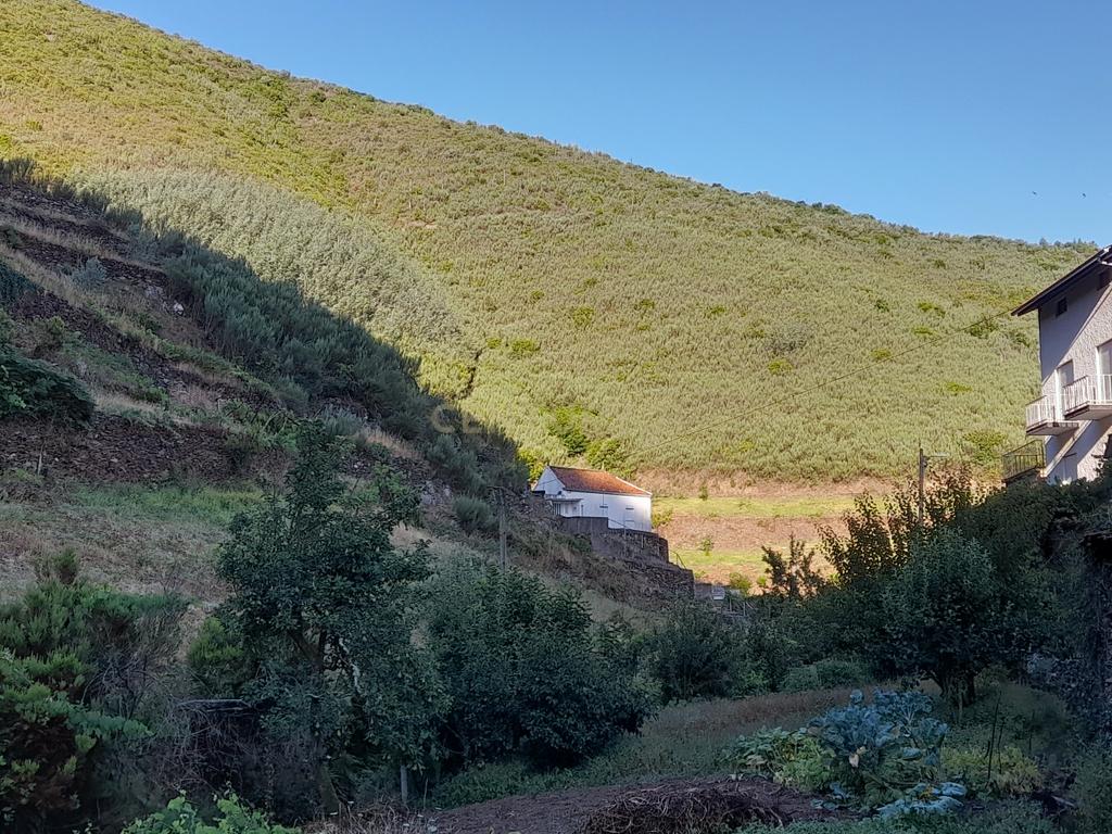INVESTIMENTO | CEIROQUINHO | SERRA DO AÇOR - Image 27