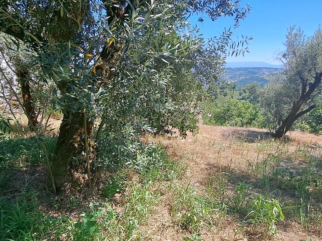 Quintinha com casa em pedra, Fragosela de Cima - Viseu - Image 12