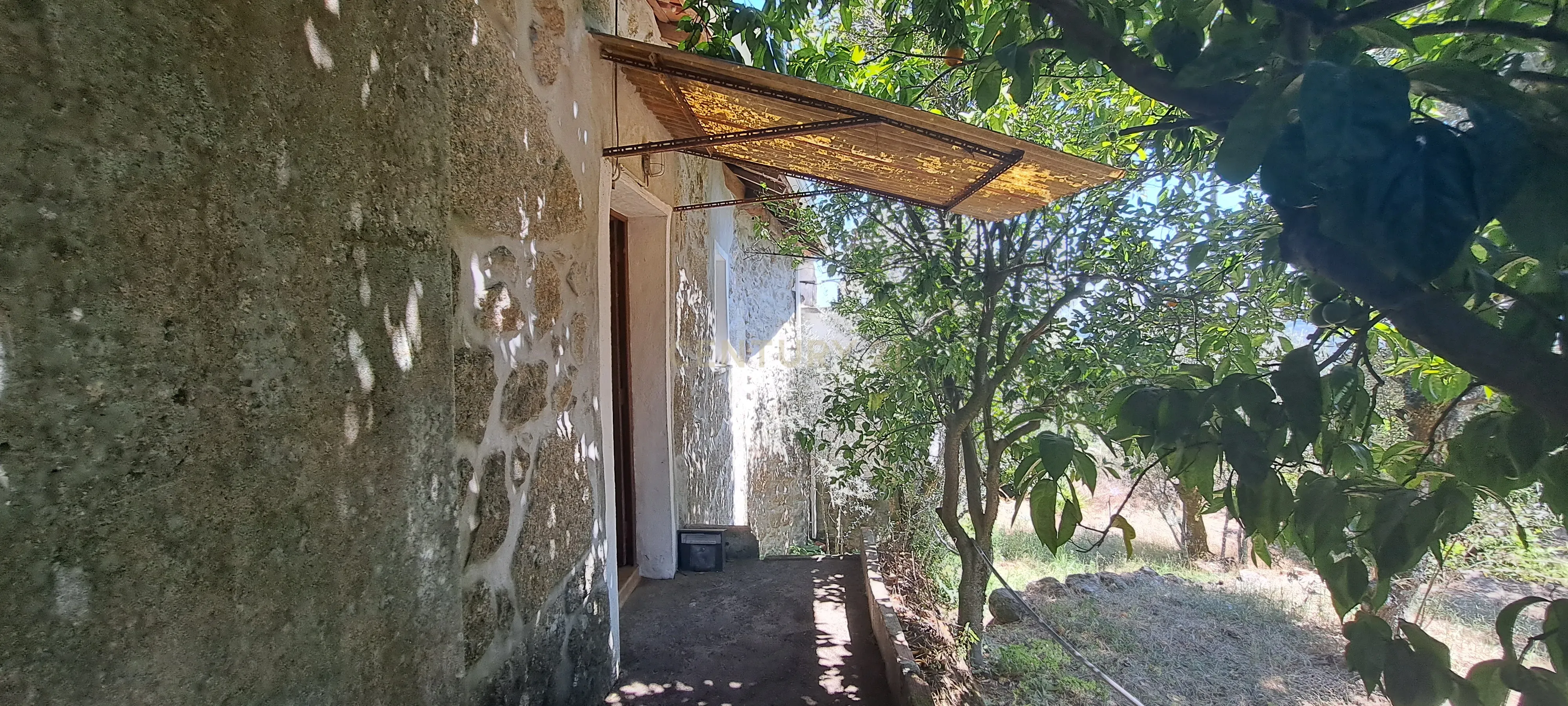 Quintinha com casa em pedra, Fragosela de Cima - Viseu - Image 4