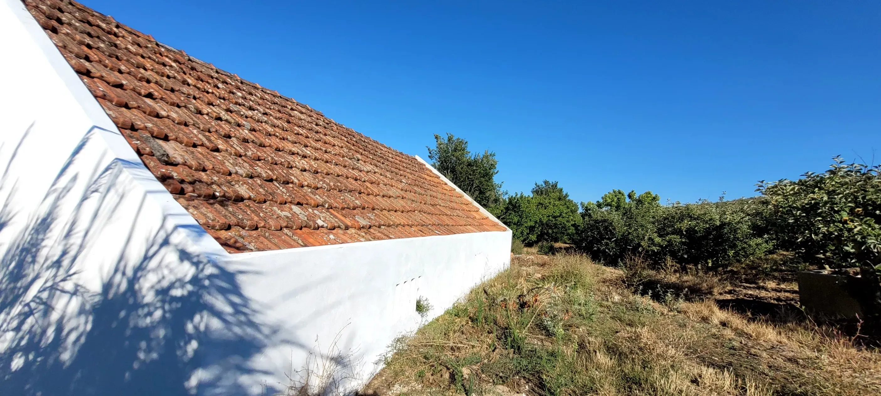 Quinta com moradia no Arneiro Merceana com 3ha de terreno com arvores de fruto em produção e 800 m2 Urbanos - Image 10