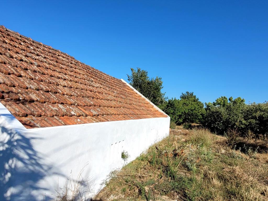 Quinta com moradia no Arneiro Merceana com 3ha de terreno com arvores de fruto em produção e 800 m2 Urbanos - Image 12