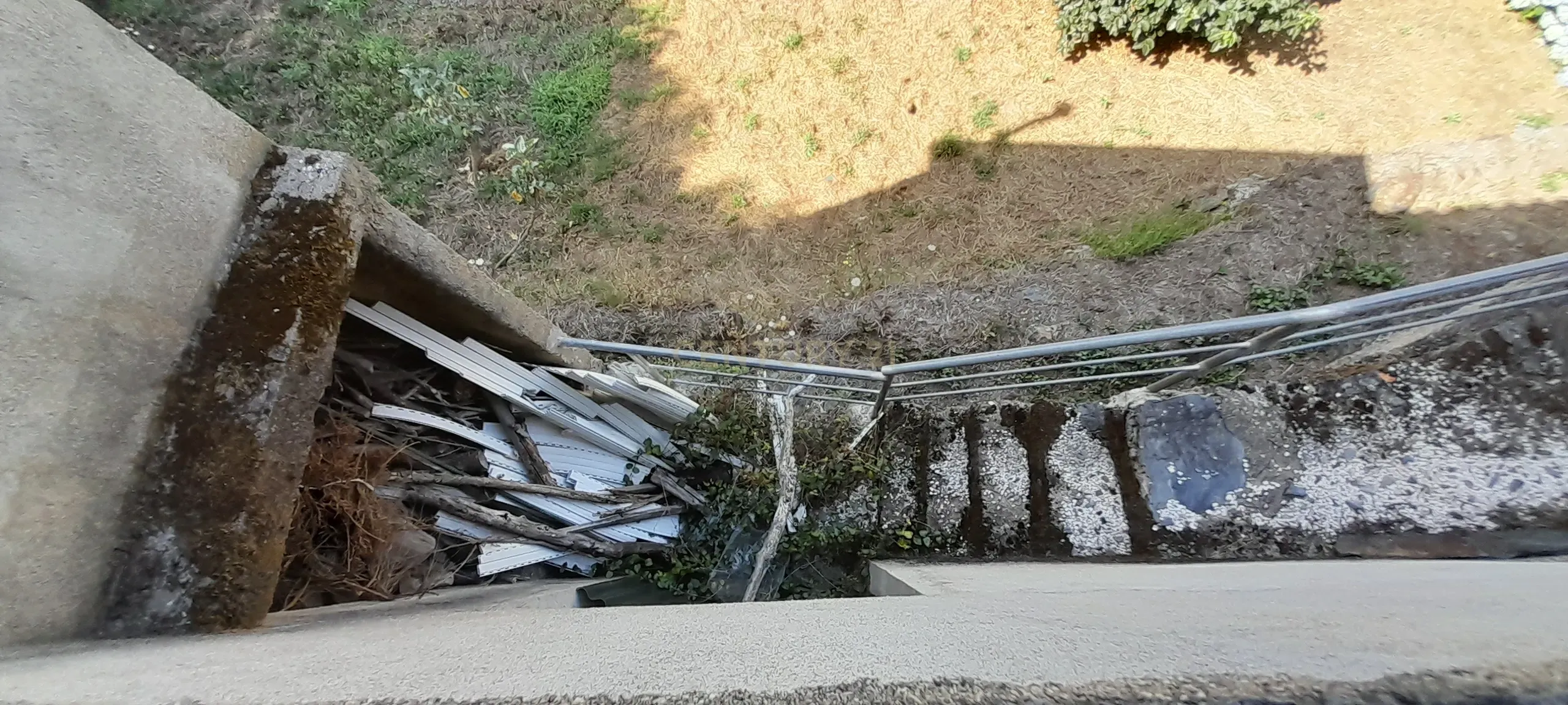 INVESTIMENTO | CEIROQUINHO | SERRA DO AÇOR - Image 18