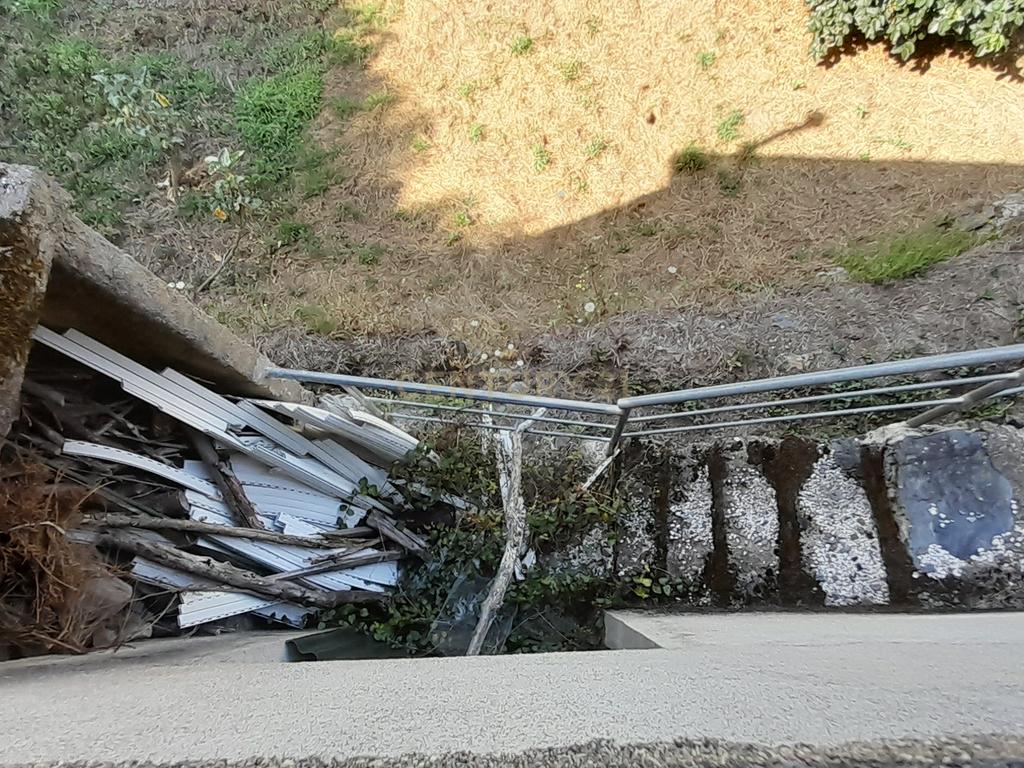 INVESTIMENTO | CEIROQUINHO | SERRA DO AÇOR - Image 18