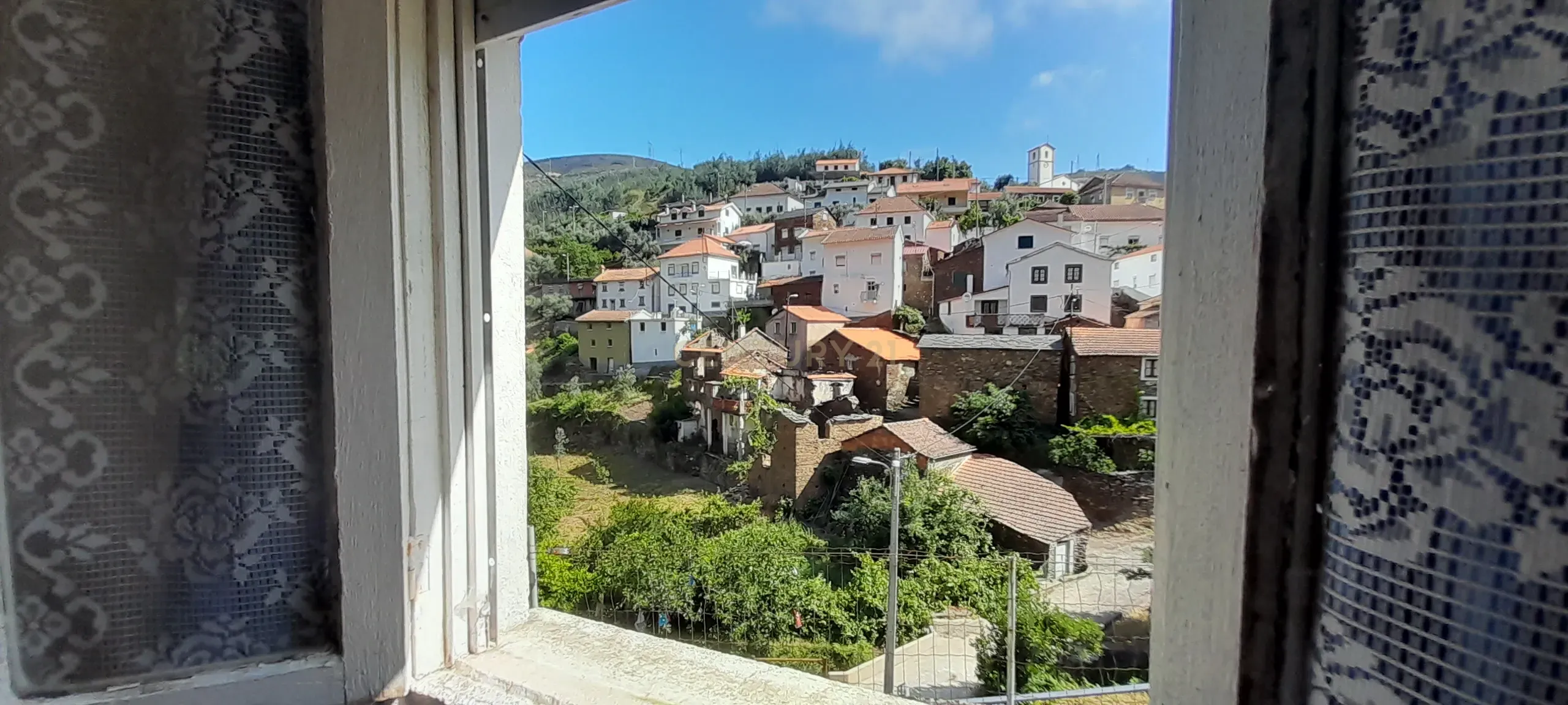 INVESTIMENTO | CEIROQUINHO | SERRA DO AÇOR - Image 9