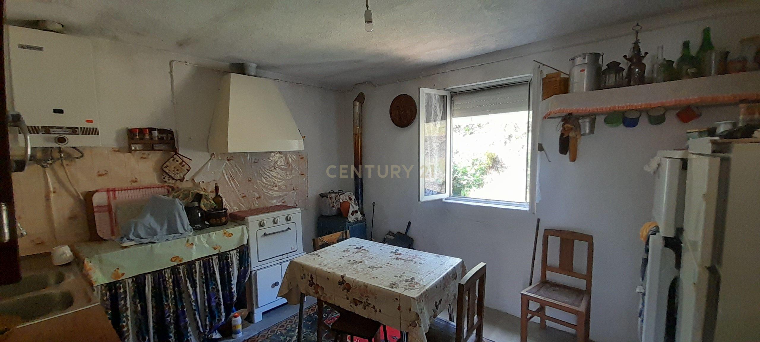 INVESTIMENTO | CEIROQUINHO | SERRA DO AÇOR - Image 14