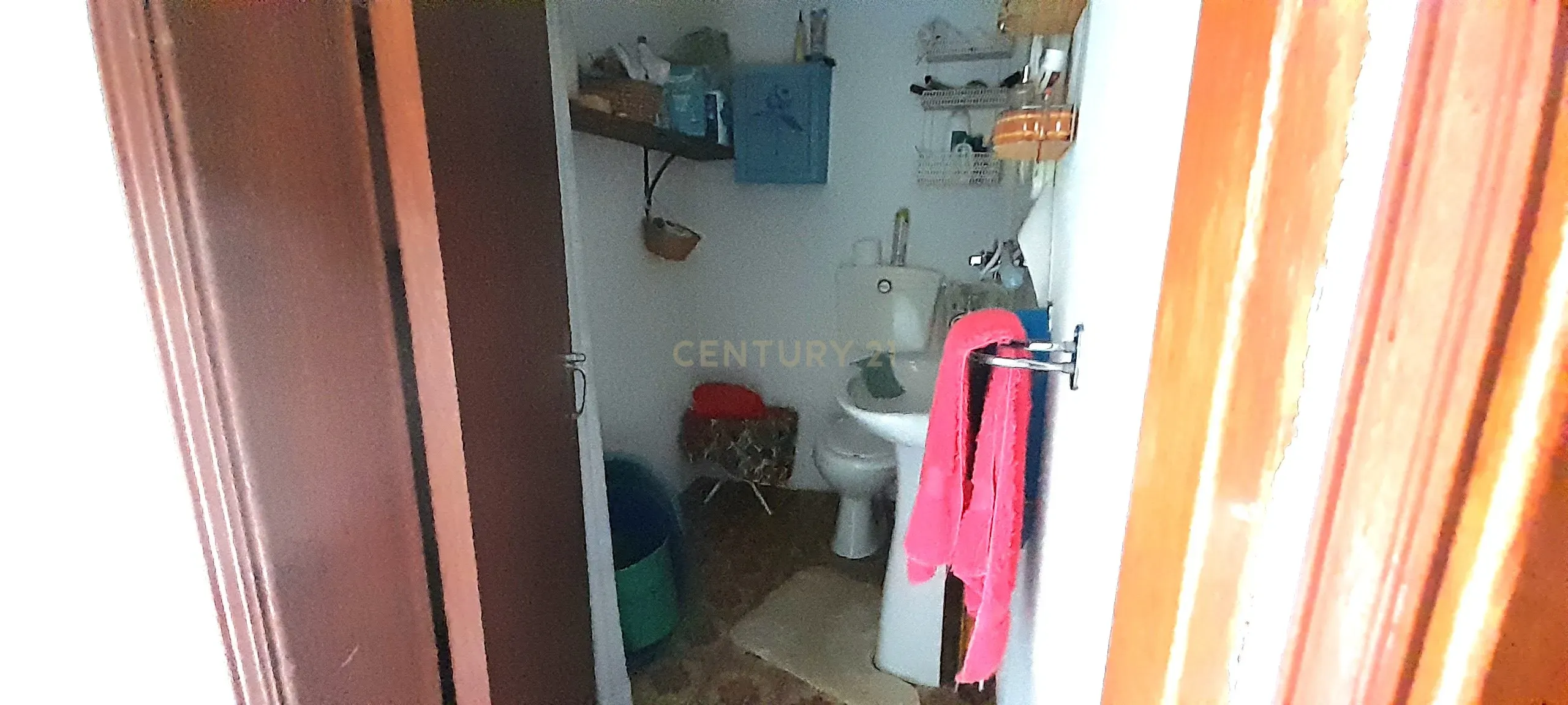 INVESTIMENTO | CEIROQUINHO | SERRA DO AÇOR - Image 12