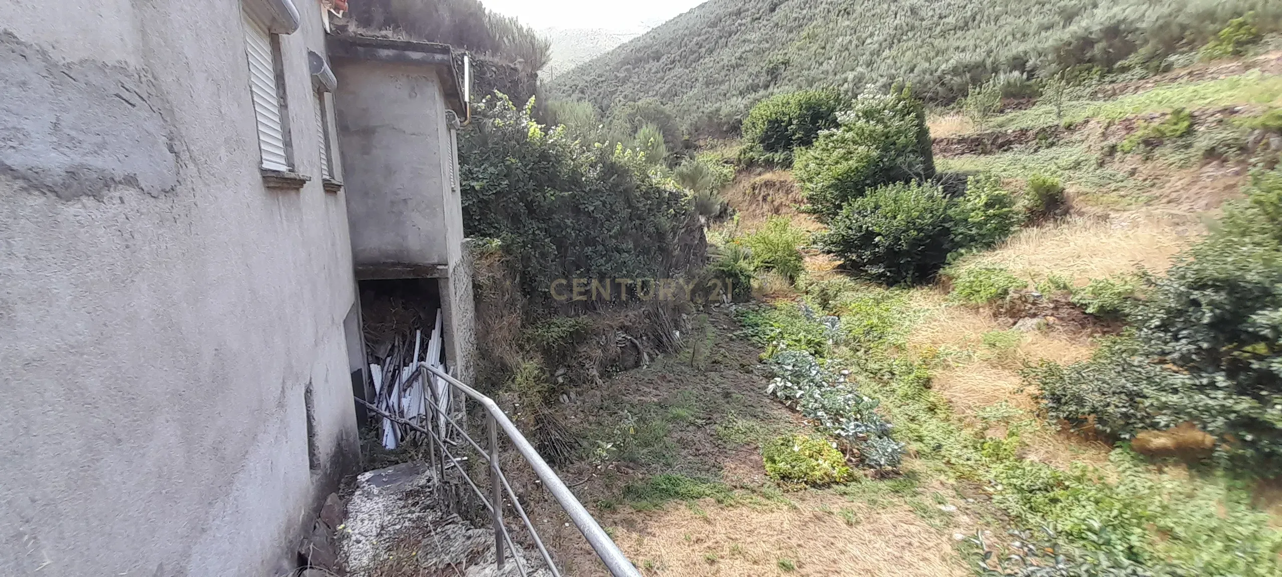INVESTIMENTO | CEIROQUINHO | SERRA DO AÇOR - Image 17