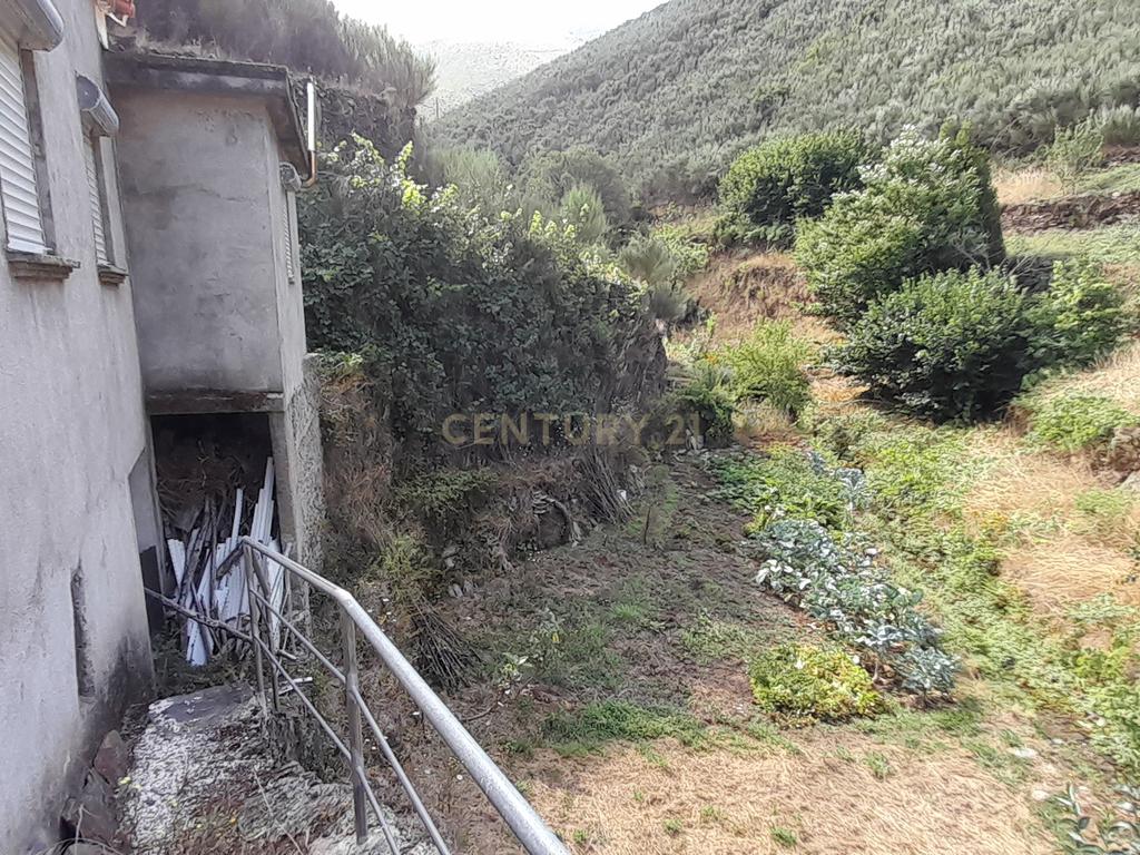 INVESTIMENTO | CEIROQUINHO | SERRA DO AÇOR - Image 17