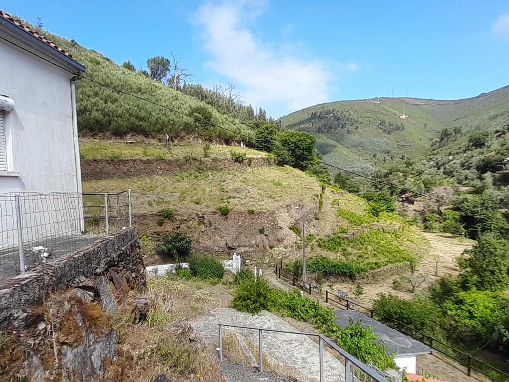 INVESTIMENTO | CEIROQUINHO | SERRA DO AÇOR - Image 16