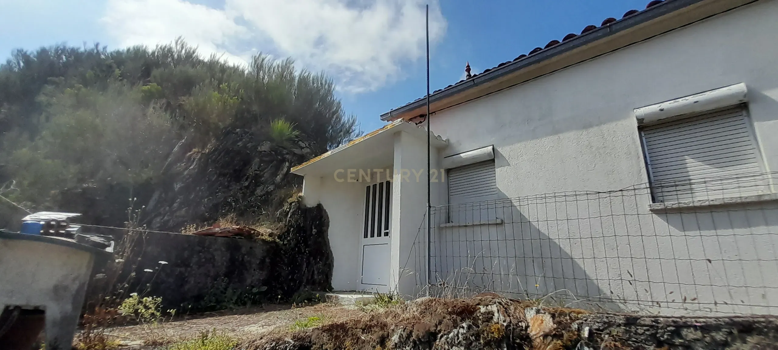 INVESTIMENTO | CEIROQUINHO | SERRA DO AÇOR - Image 5