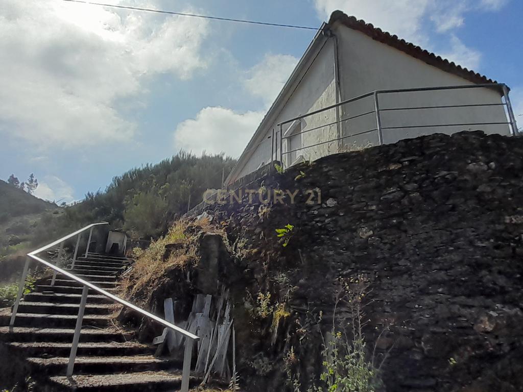 INVESTIMENTO | CEIROQUINHO | SERRA DO AÇOR - Image 4