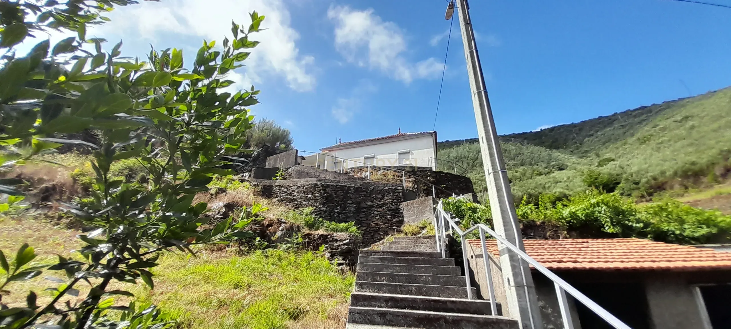 INVESTIMENTO | CEIROQUINHO | SERRA DO AÇOR - Image 3
