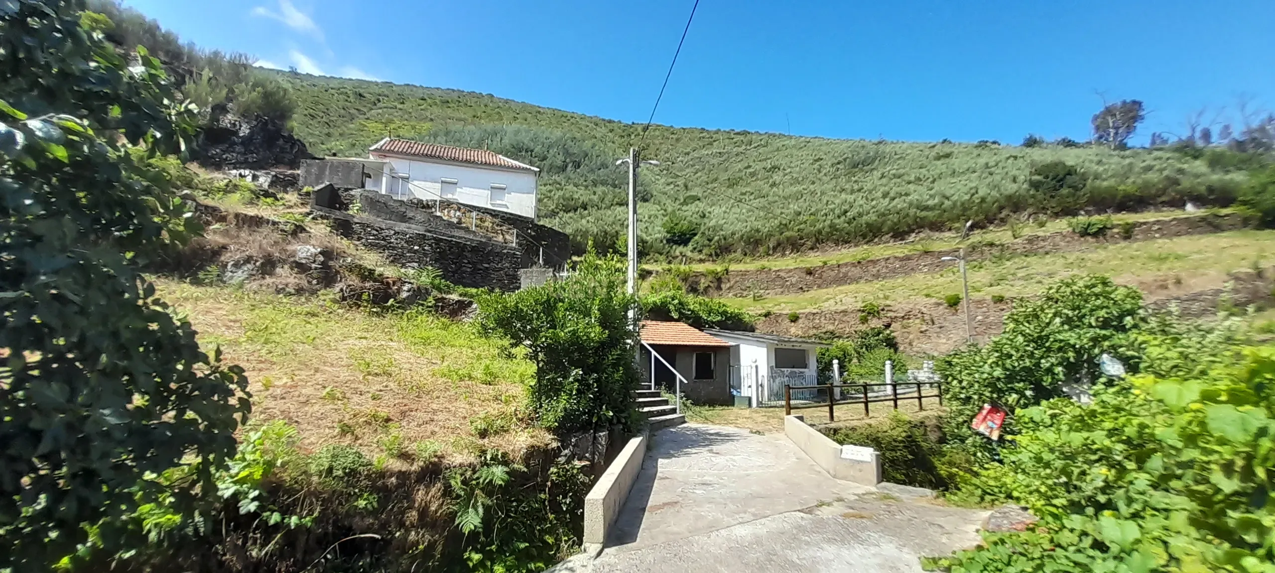 INVESTIMENTO | CEIROQUINHO | SERRA DO AÇOR - Image 2