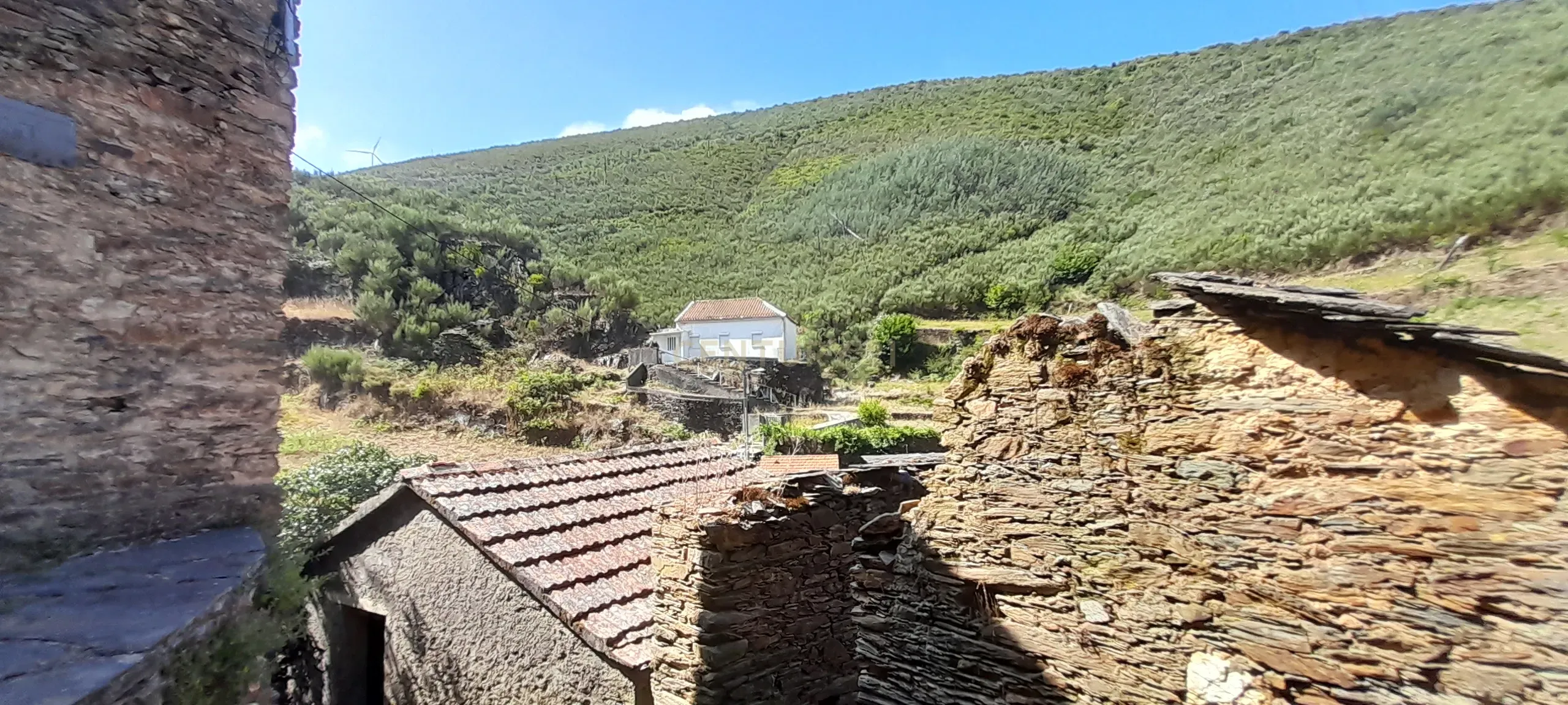 INVESTIMENTO | CEIROQUINHO | SERRA DO AÇOR - Image 1