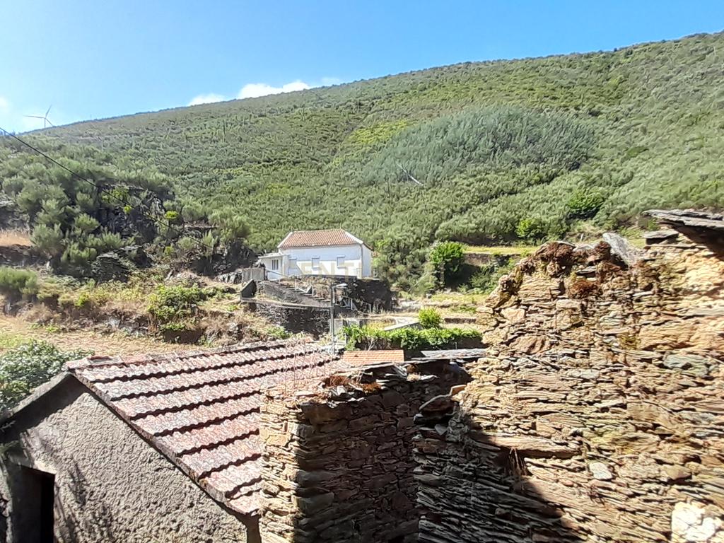 INVESTIMENTO | CEIROQUINHO | SERRA DO AÇOR - Image 1
