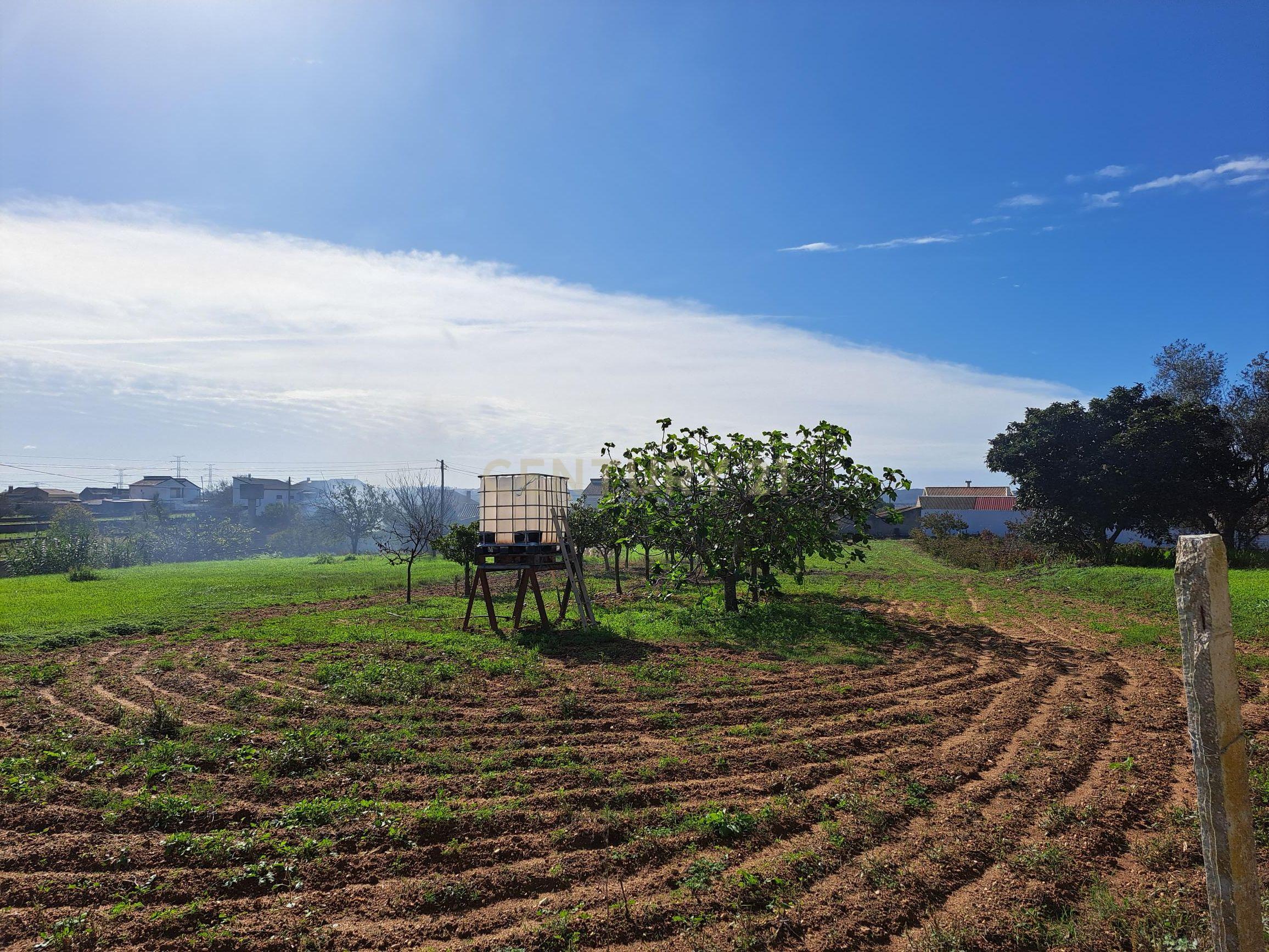 Terreno plano com duas frentes para construção com área total de 2300m2 junto da Figueira da Foz - Image 4