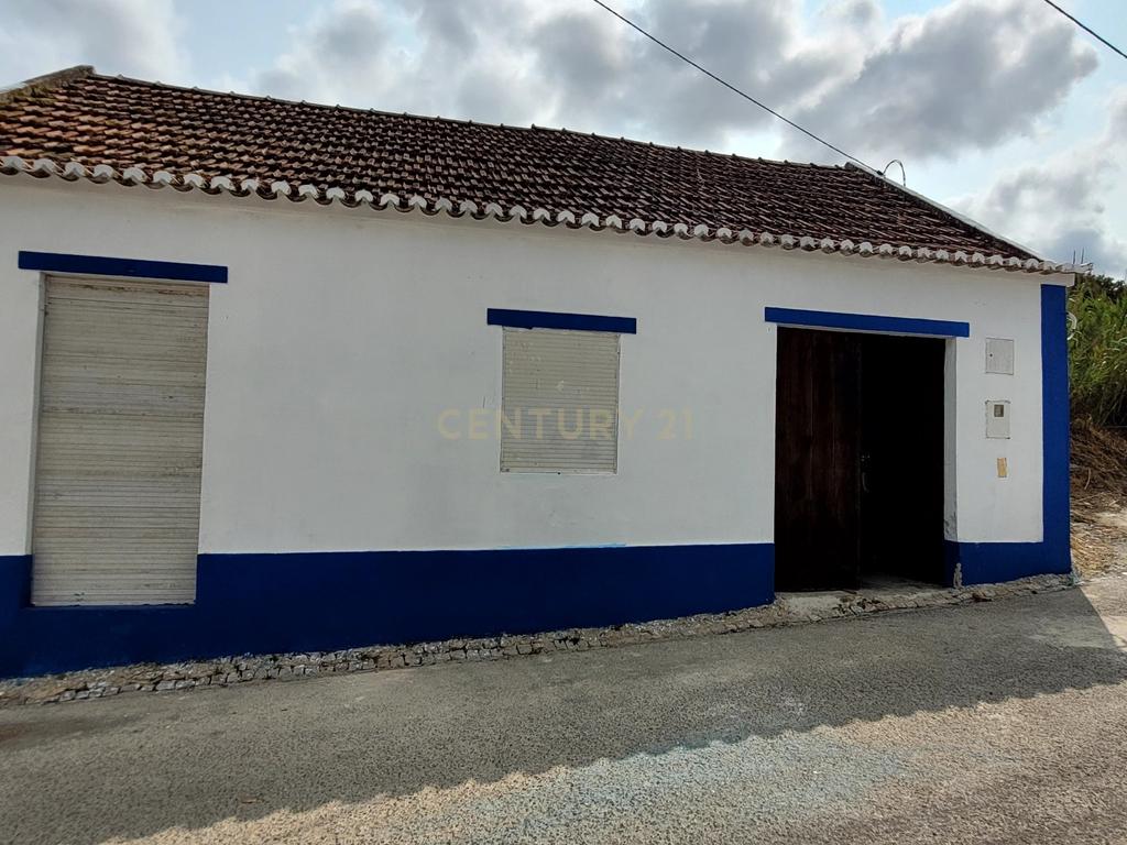 Quinta com moradia no Arneiro Merceana com 3ha de terreno com arvores de fruto em produção e 800 m2 Urbanos - Image 3