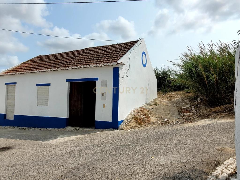 Quinta com moradia no Arneiro Merceana com 3ha de terreno com arvores de fruto em produção e 800 m2 Urbanos - Image 4