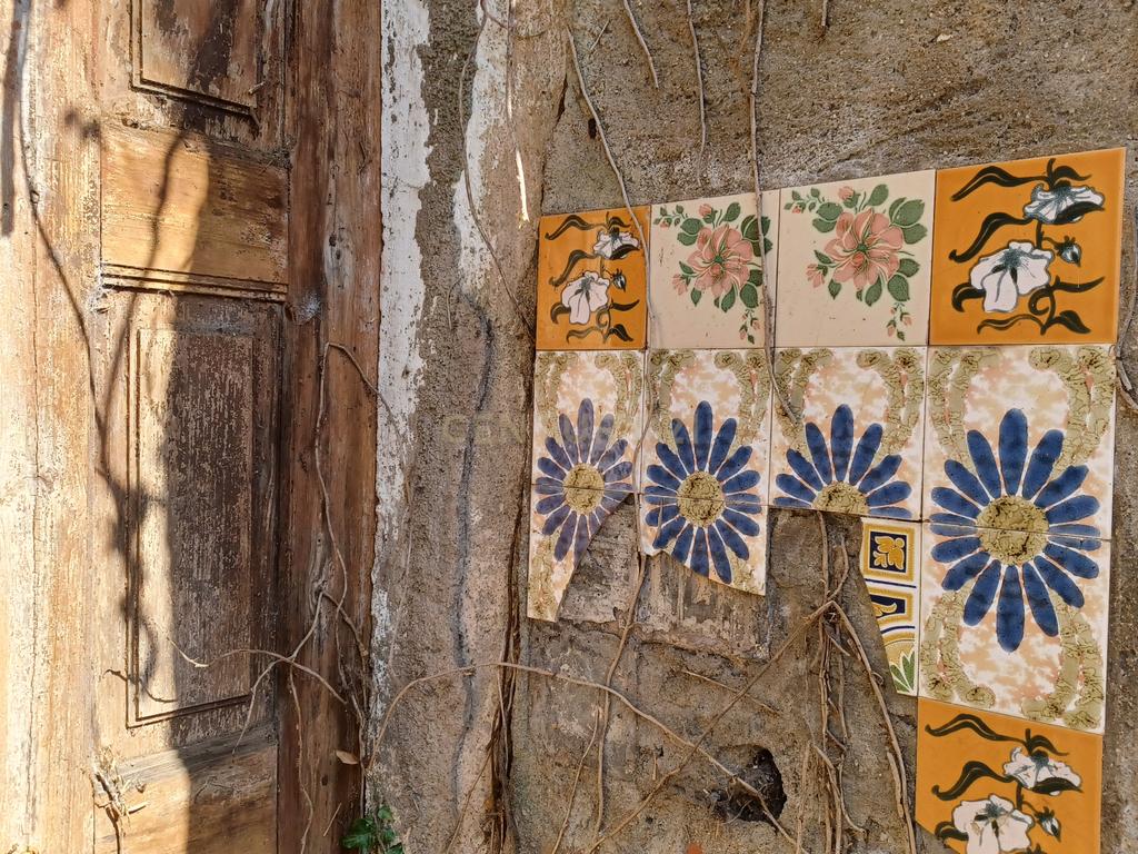 Vendo Quinta em Coimbra - Image 11