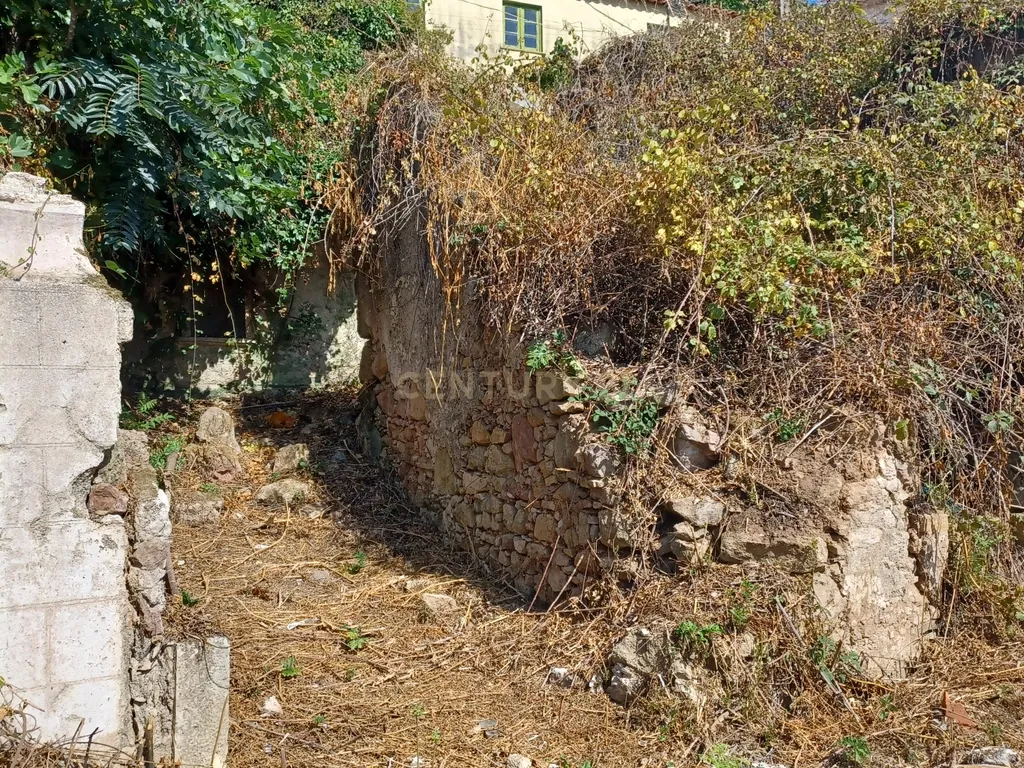 Vendo Quinta em Coimbra - Image 18