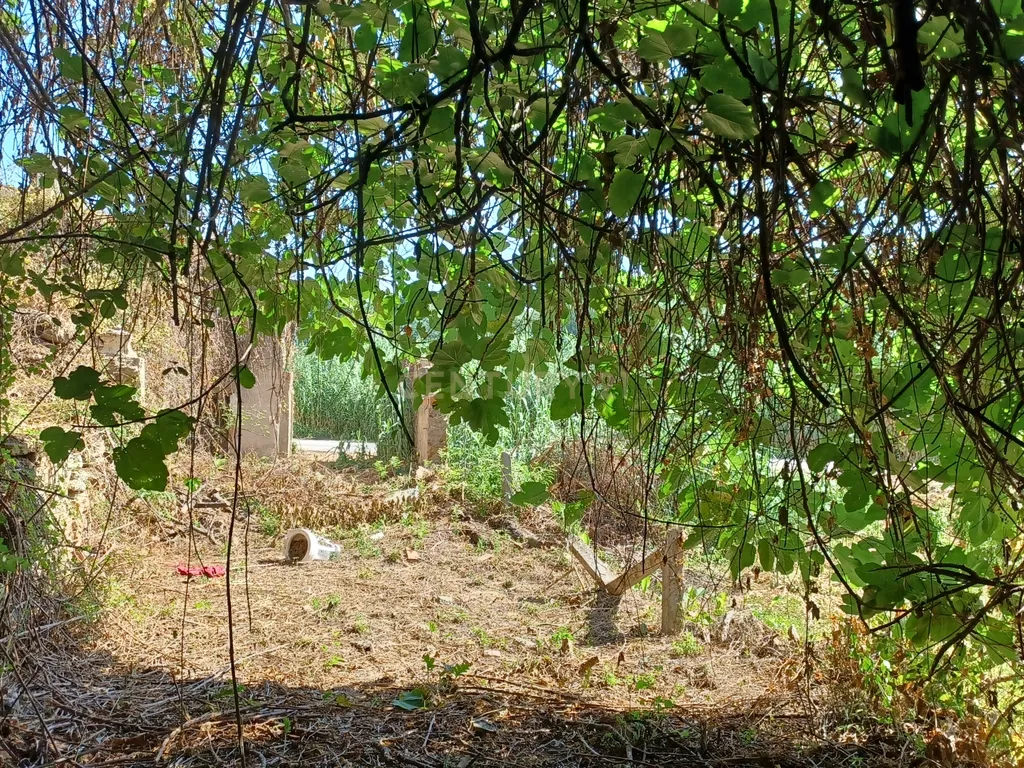 Vendo Quinta em Coimbra - Image 19