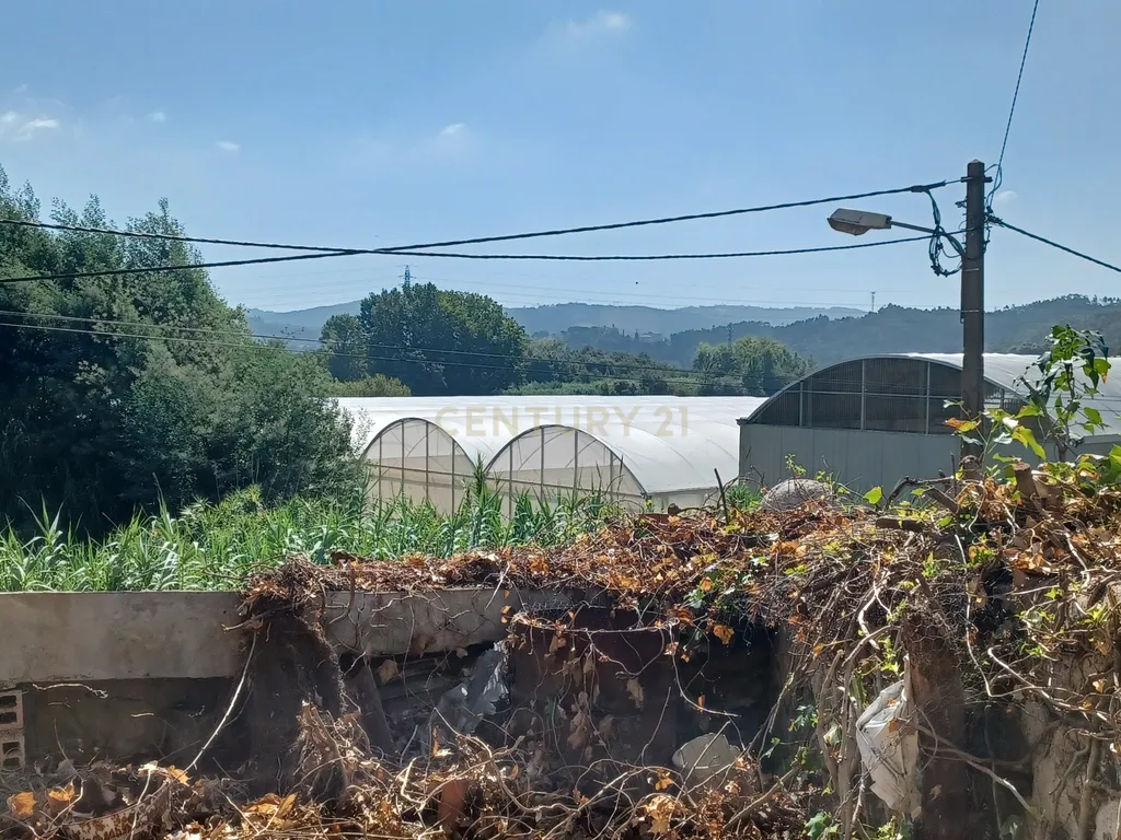 Vendo Quinta em Coimbra - Image 10