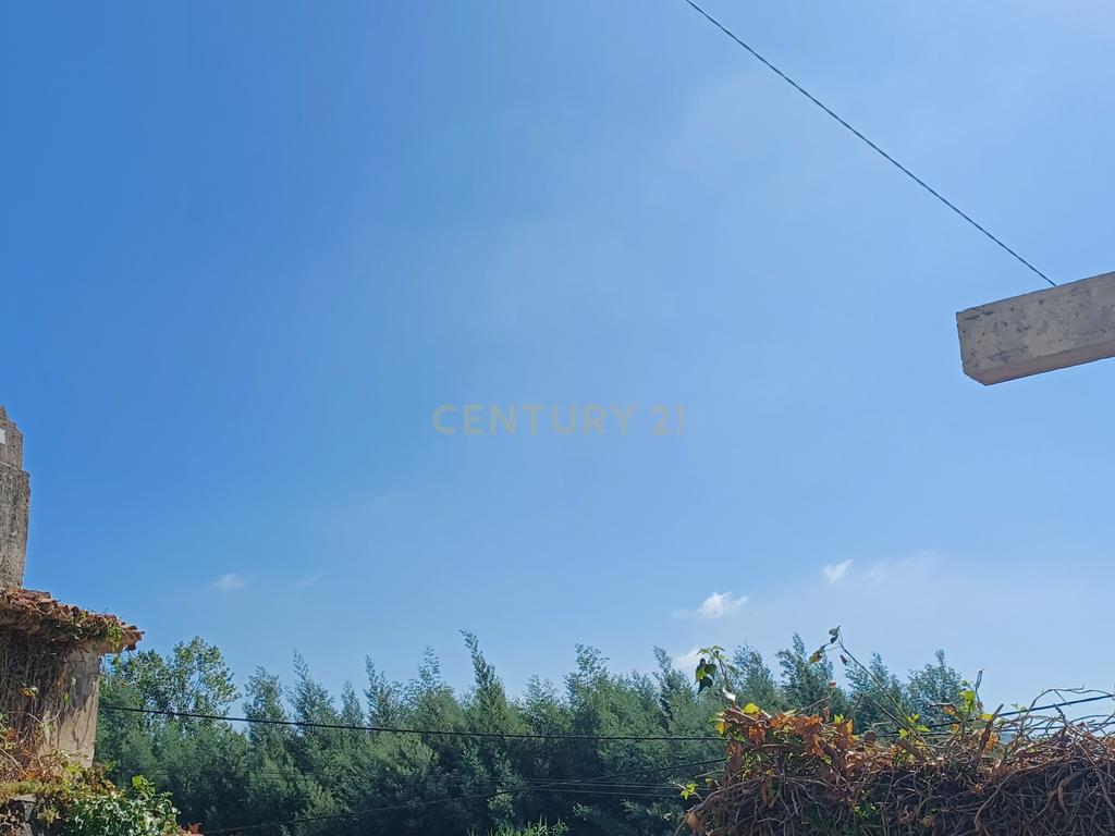 Vendo Quinta em Coimbra - Image 21
