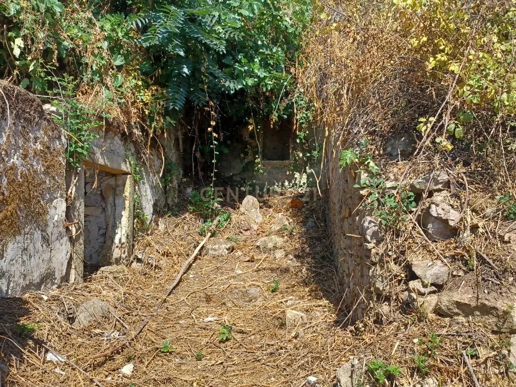 Vendo Quinta em Coimbra - Image 23
