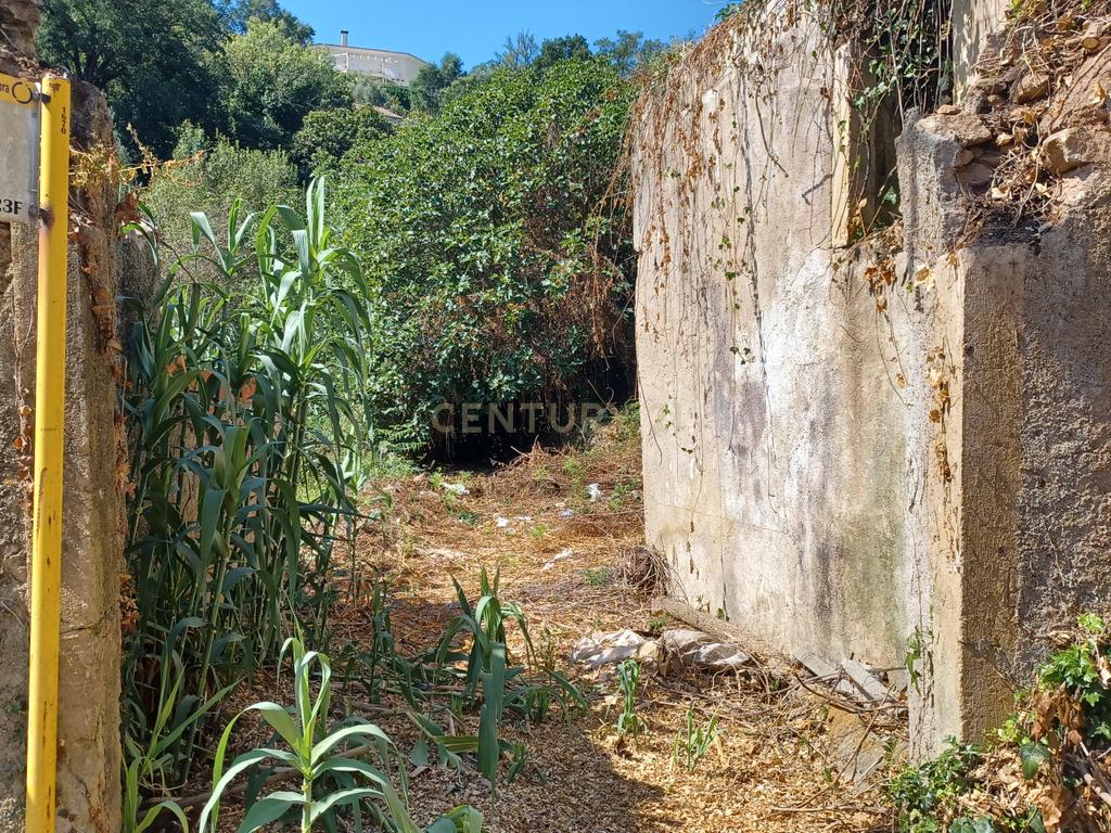Vendo Quinta em Coimbra - Image 27