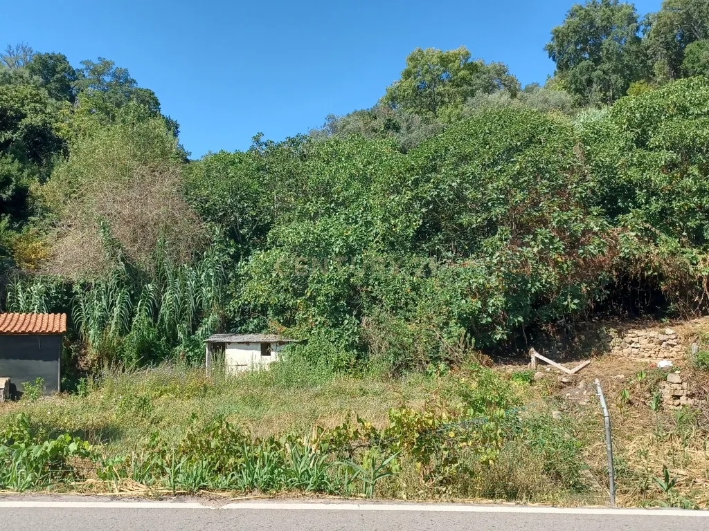 Vendo Quinta em Coimbra - Image 30