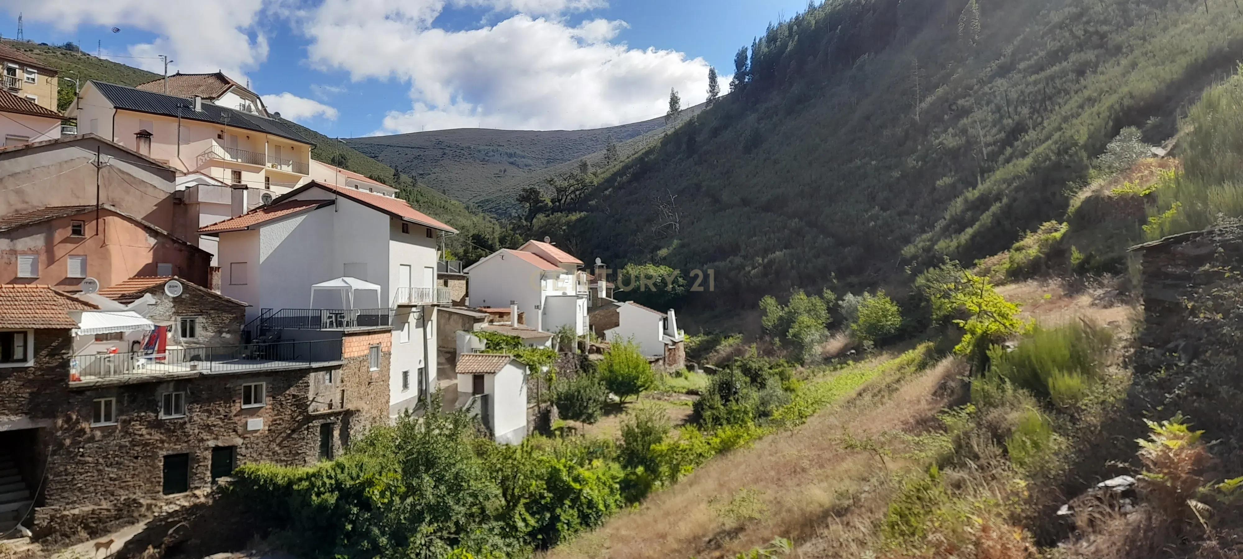 INVESTIMENTO | CEIROQUINHO | SERRA DO AÇOR - Image 22