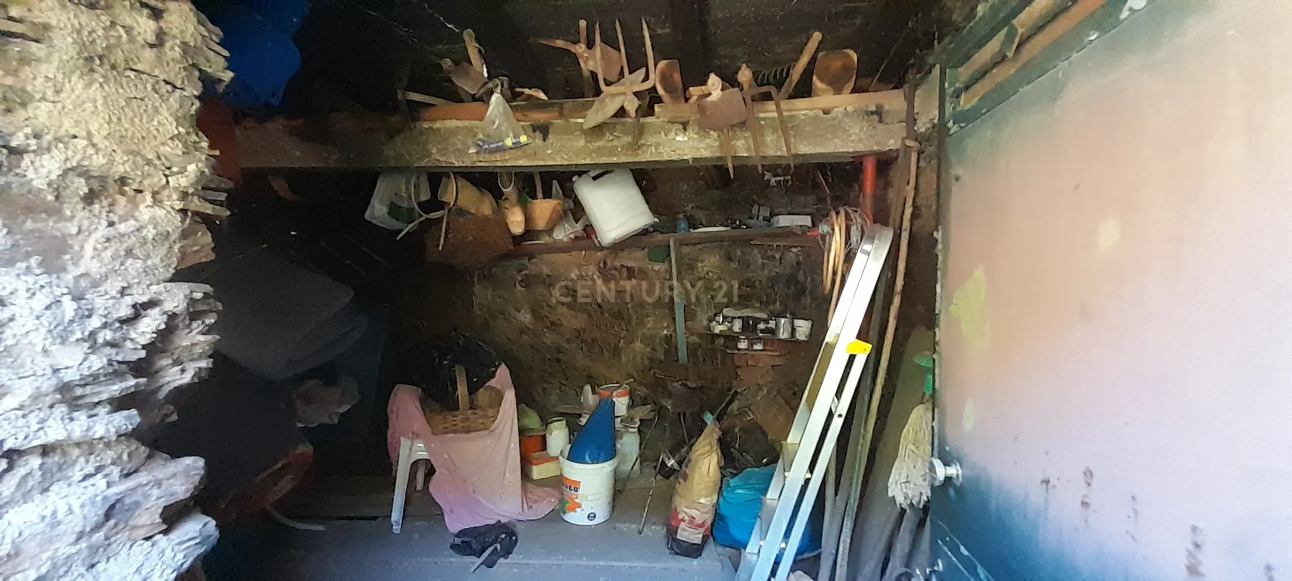 INVESTIMENTO | CEIROQUINHO | SERRA DO AÇOR - Image 19