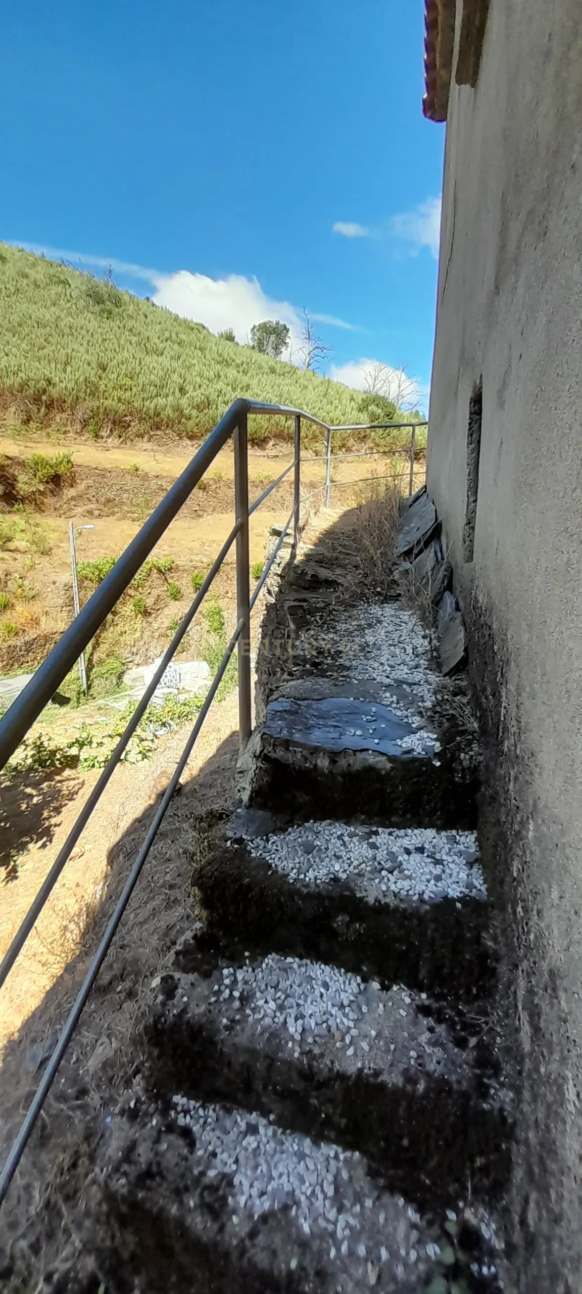 INVESTIMENTO | CEIROQUINHO | SERRA DO AÇOR - Image 20