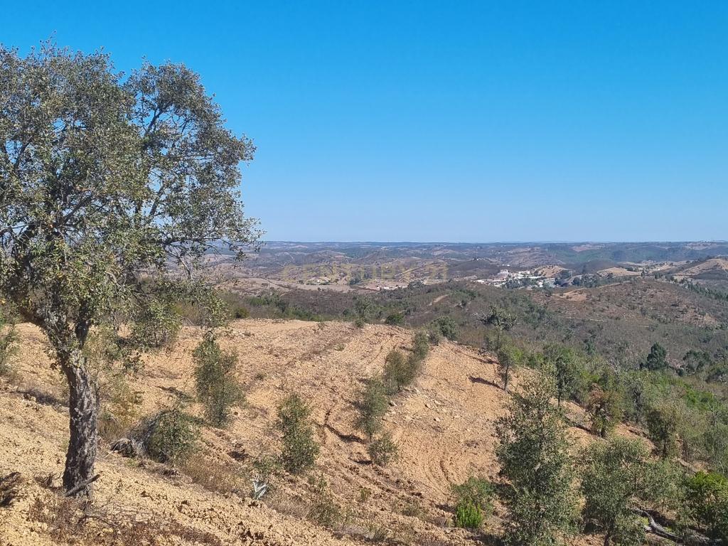 Terreno de 11H - Santana da Serra - Disponível - Image 6