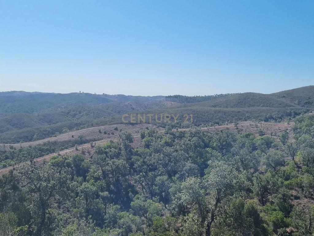 Terreno de 11H - Santana da Serra - Disponível - Image 2
