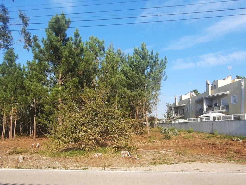 Vista 2