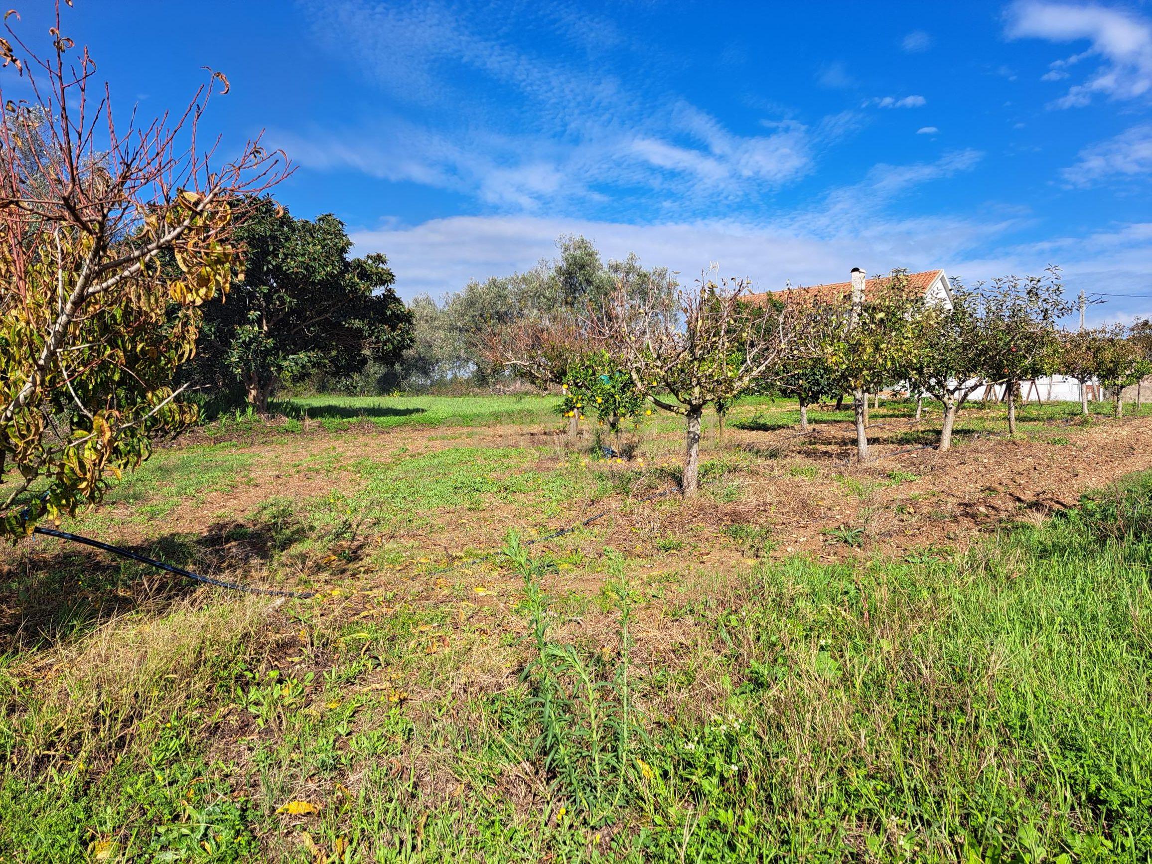 Terreno plano com duas frentes para construção com área total de 2300m2 junto da Figueira da Foz - Image 7