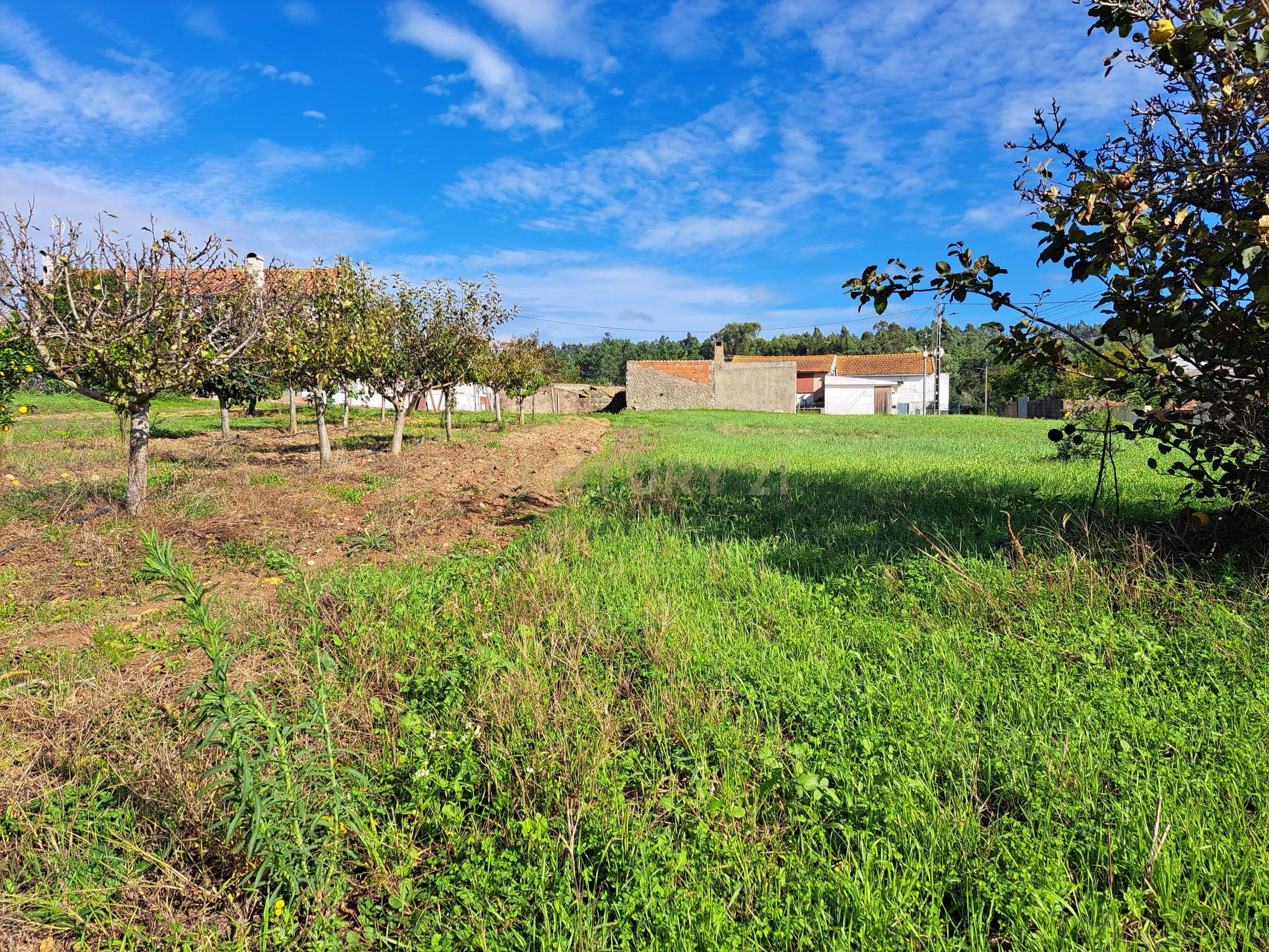 Terreno plano com duas frentes para construção com área total de 2300m2 junto da Figueira da Foz - Image 9