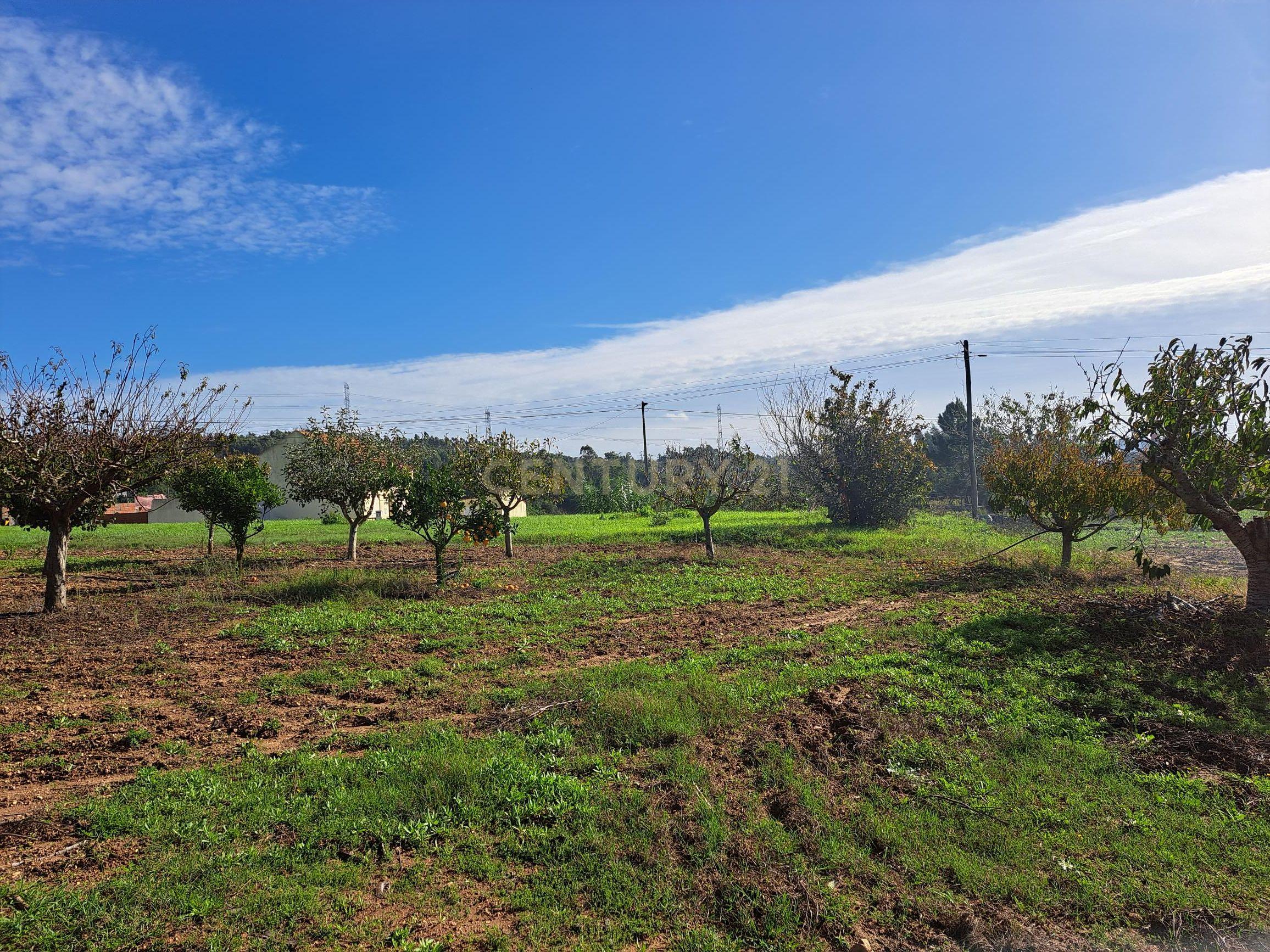 Terreno plano com duas frentes para construção com área total de 2300m2 junto da Figueira da Foz - Image 10