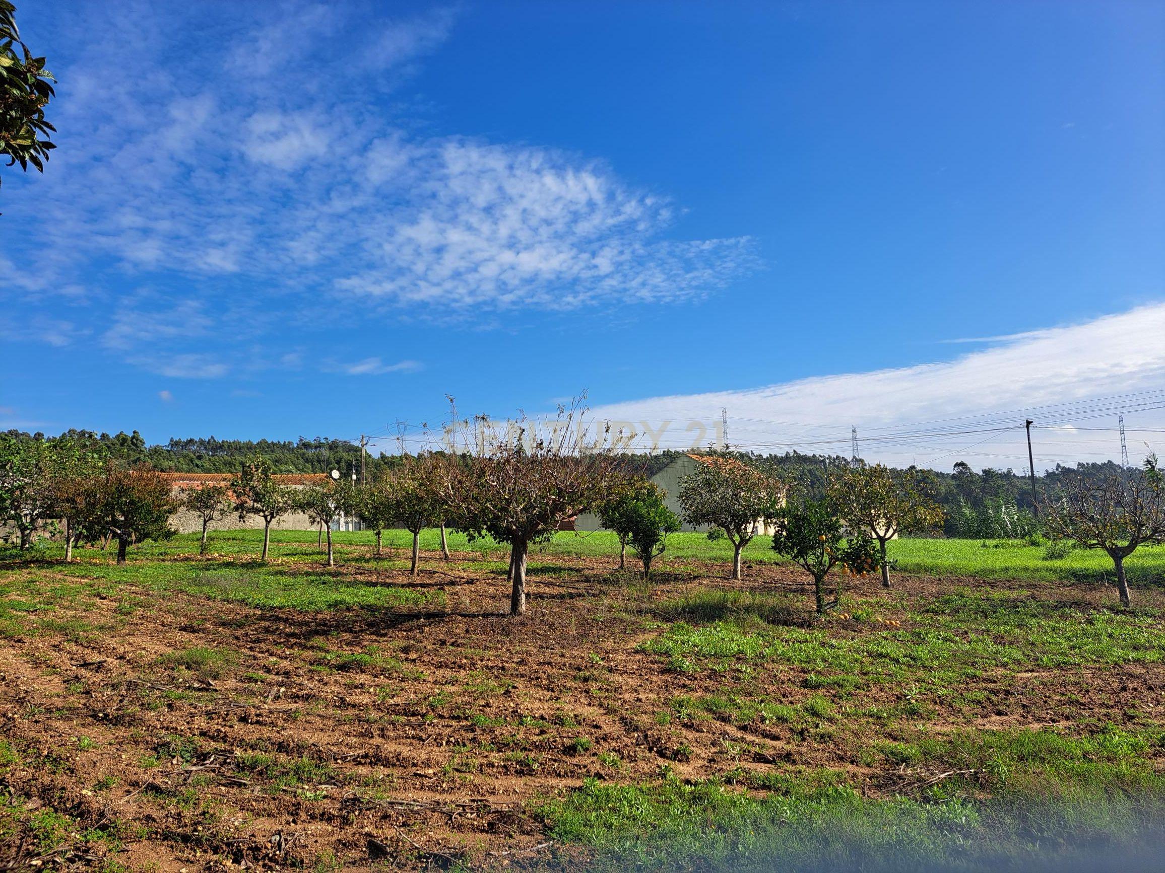 Terreno plano com duas frentes para construção com área total de 2300m2 junto da Figueira da Foz - Image 2