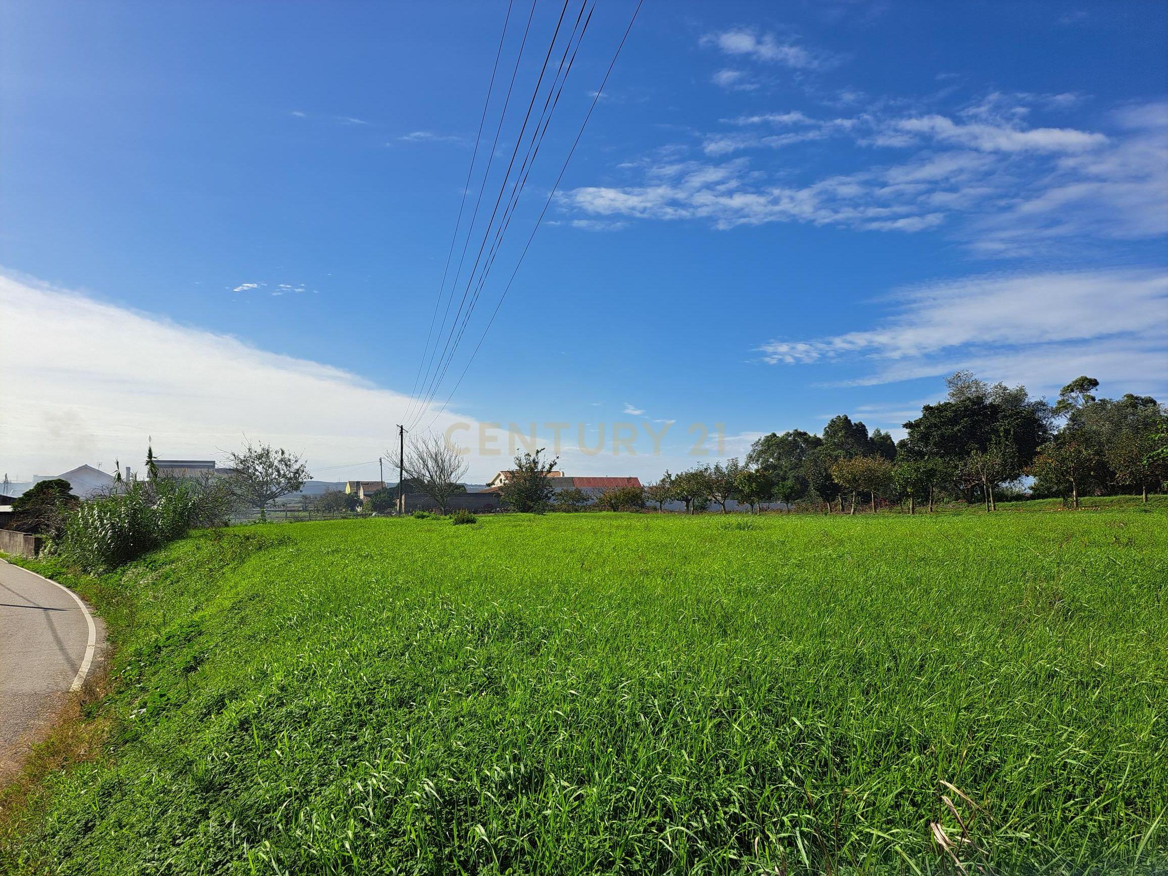 Terreno plano com duas frentes para construção com área total de 2300m2 junto da Figueira da Foz - Image 11