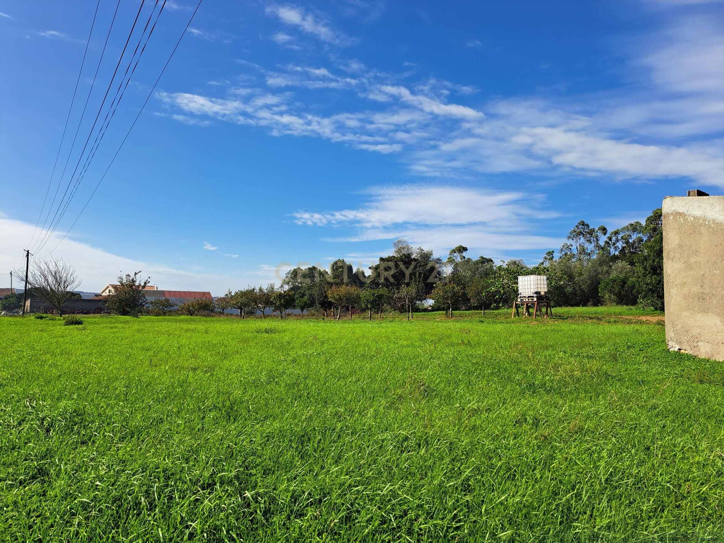Terreno plano com duas frentes para construção com área total de 2300m2 junto da Figueira da Foz - Image 12