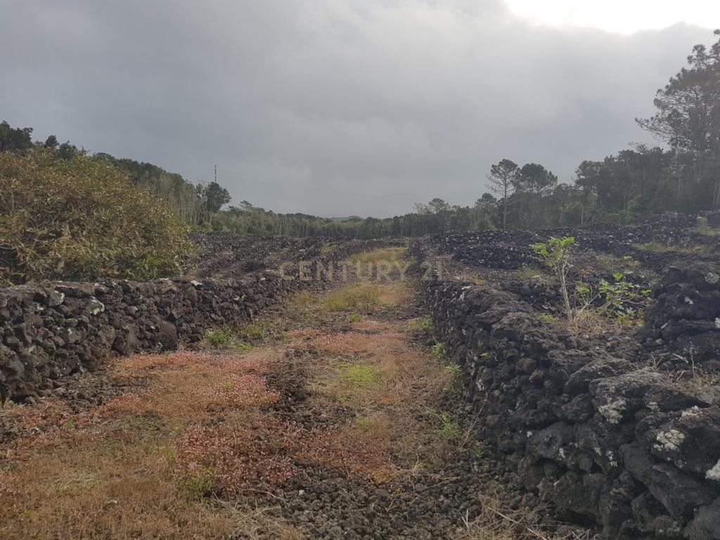 Vende-se Terreno de 12.110 m² na Encantadora Ilha do Pico - Açores! - Image 2