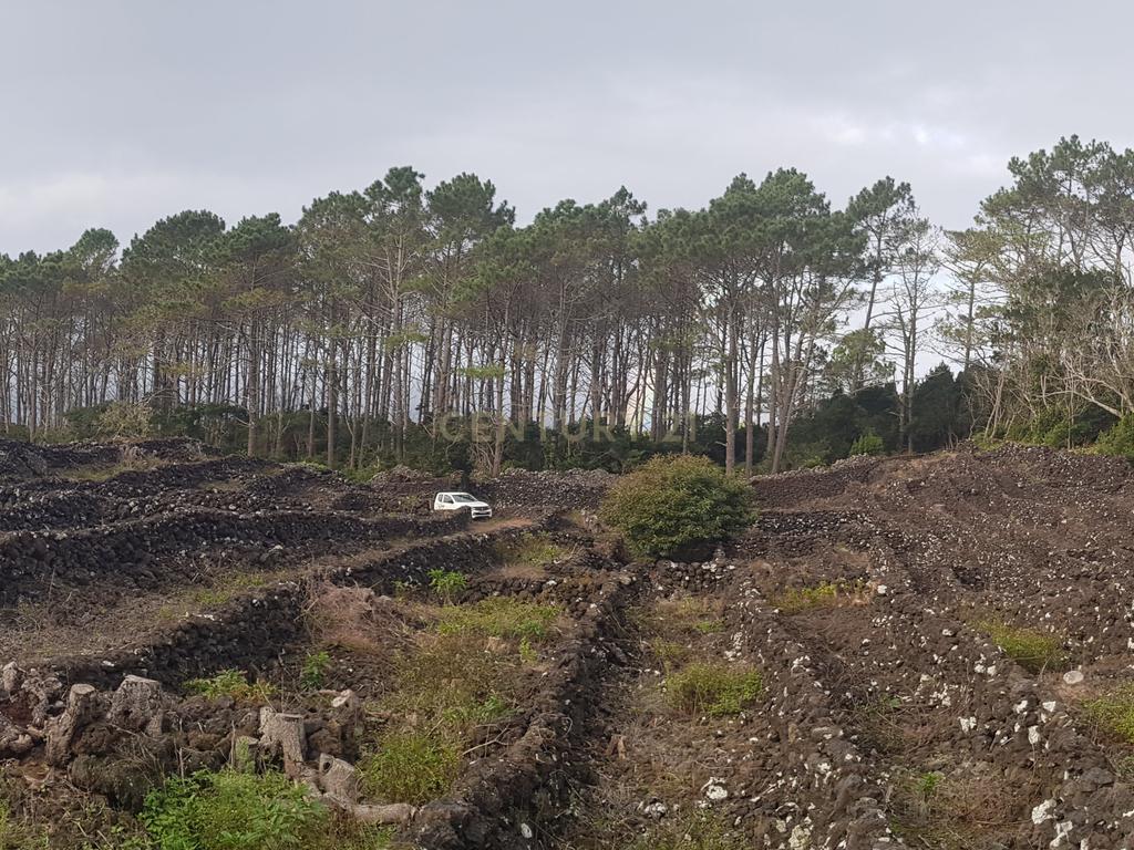 Vende-se Terreno de 12.110 m² na Encantadora Ilha do Pico - Açores! - Image 4