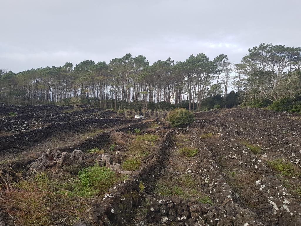Vende-se Terreno de 12.110 m² na Encantadora Ilha do Pico - Açores! - Image 1