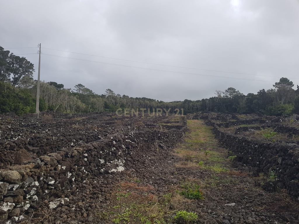 Vende-se Terreno de 12.110 m² na Encantadora Ilha do Pico - Açores! - Image 3
