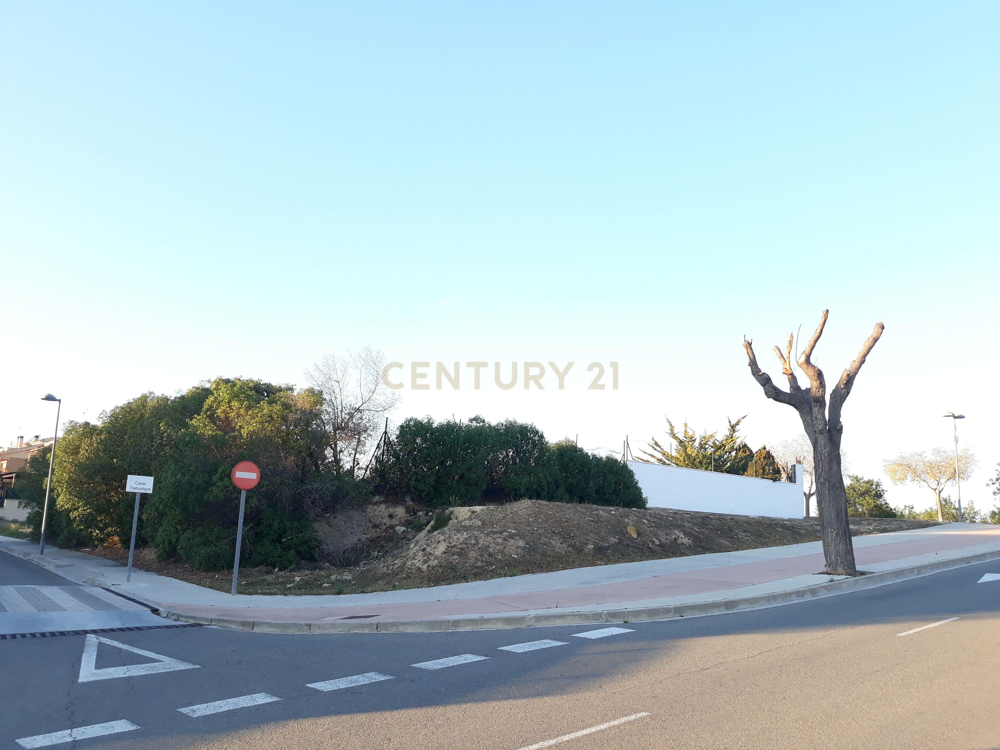undefined - Image 4