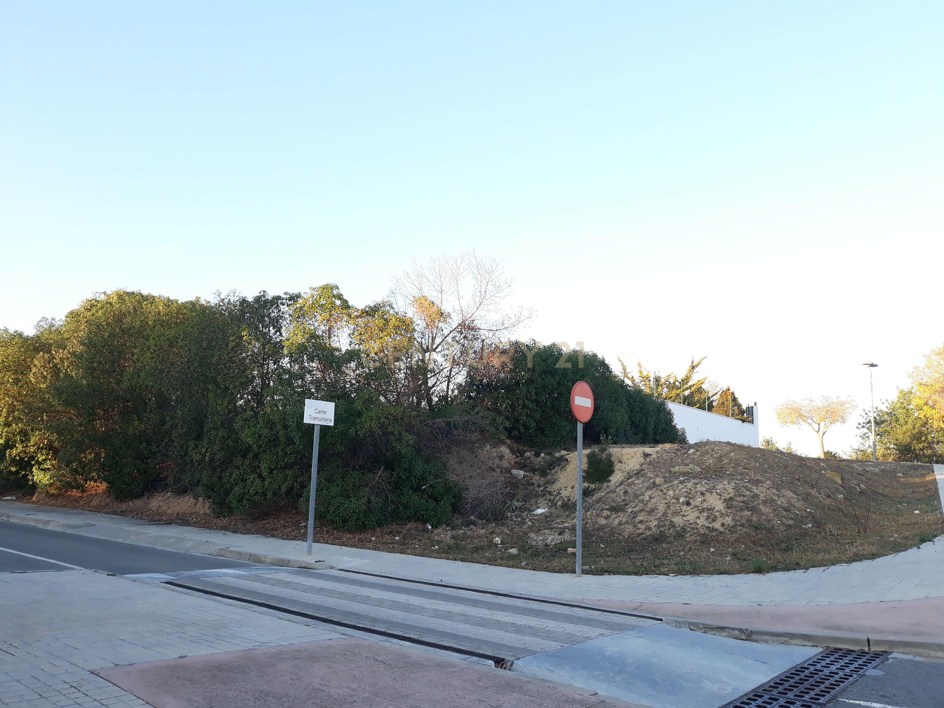 undefined - Image 7