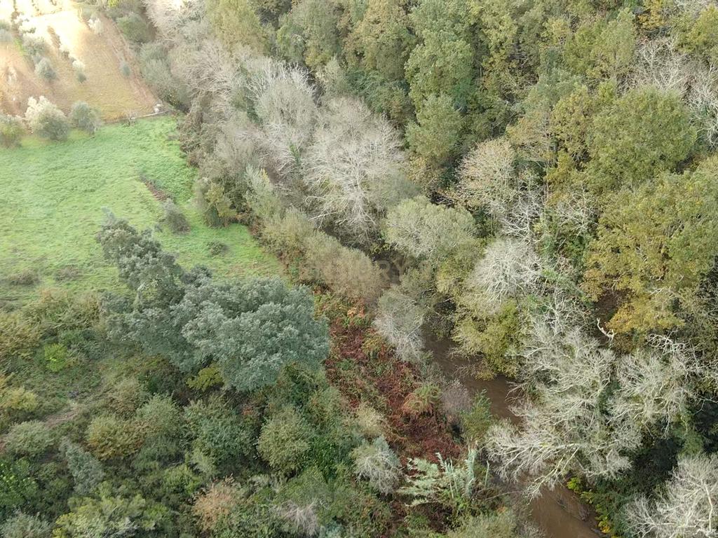 Terreno com possibilidade de Construção em Miranda do Corvo - Image 11